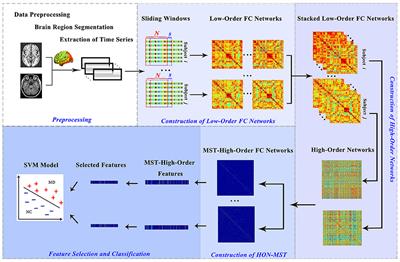 Alzheimer Classification Using a Minimum Spanning Tree of High-Order Functional Network on fMRI Dataset